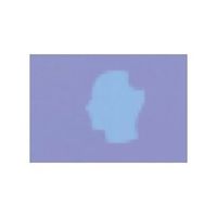 Delicious Brains coupons